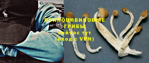 мяу мяу мука Вяземский