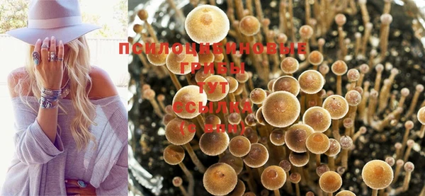 мяу мяу мука Вяземский