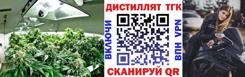 Купить закладки  Кинешма  Дистиллят ТГК Wax 