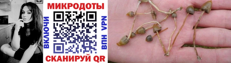 Купить закладки  Кинешма  Псилоцибиновые грибы MAGIC MUSHROOMS 